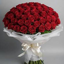 Букет 101 Красная роза Блэк Мэджик в Киевском