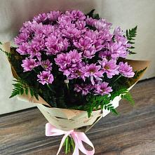 Букет цветов из:  Хризантемы #REPLACE_PRED# Киевском