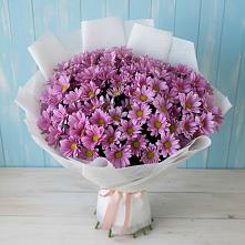 Букет цветов из:  Хризантемы #REPLACE_PRED# Киевском