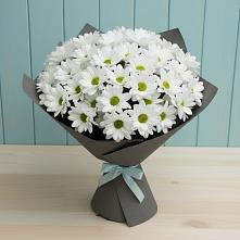 Букет цветов из:  Хризантемы #REPLACE_PRED# Киевском