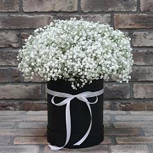 Цветочная композиция из Гипсофила в шляпной коробке в Киевском