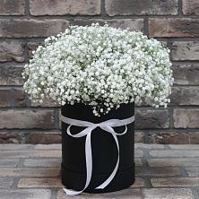 Цветочная композиция из Гипсофила в шляпной коробке в Киевском
