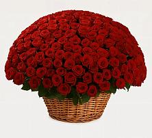 Премиум букет из: Розы #REPLACE_PRED# Киевском